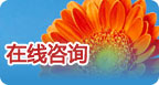 扫一扫关注我 扫一扫关注我